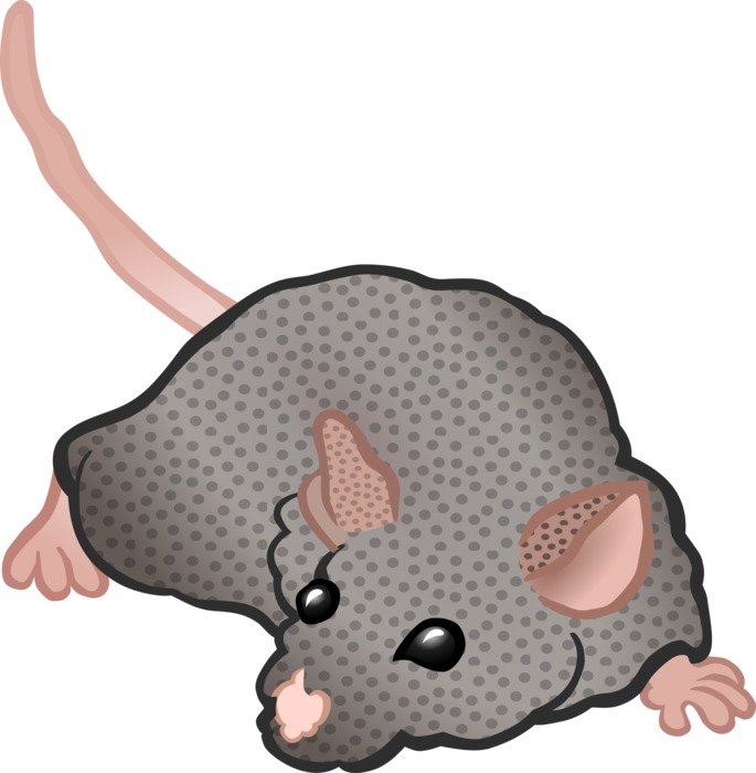 Mouse Tier drawing