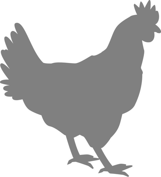 grey silhouette of a cock