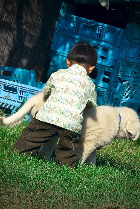 baby with dog on green grass