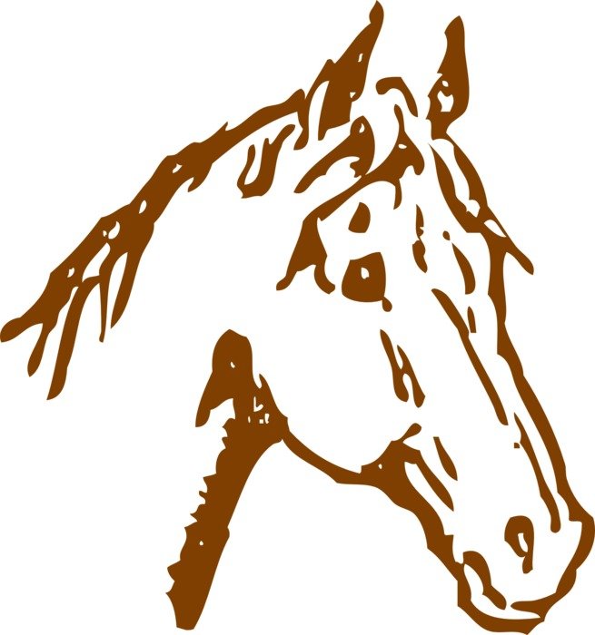 brown Horse Head drawing