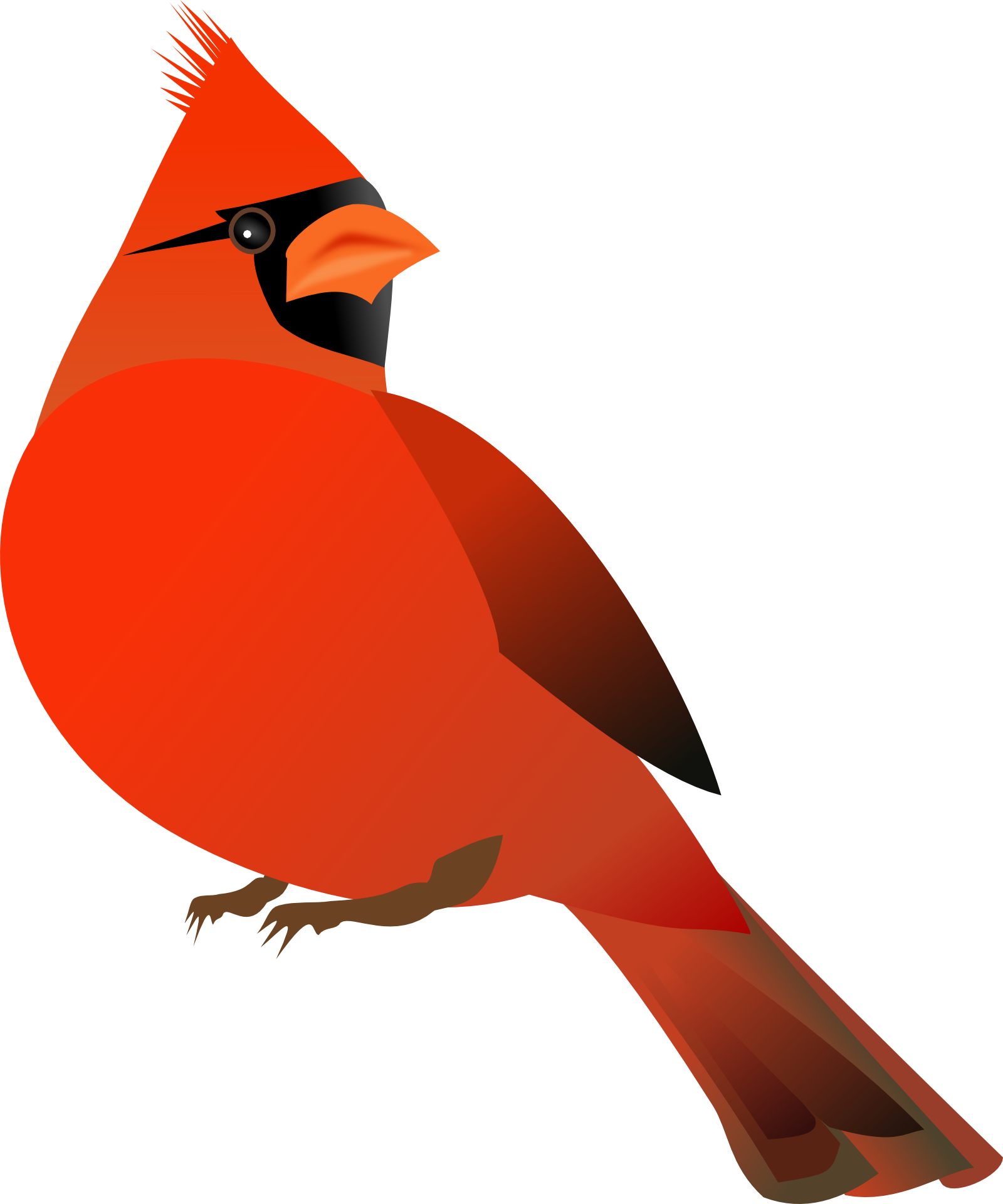 Cardinal Bird Red Drawing Free Image