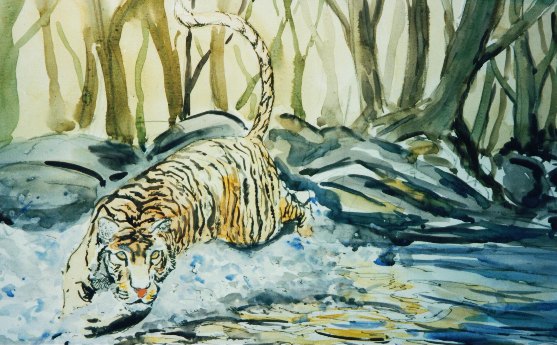 Раскраска акварелью тигр