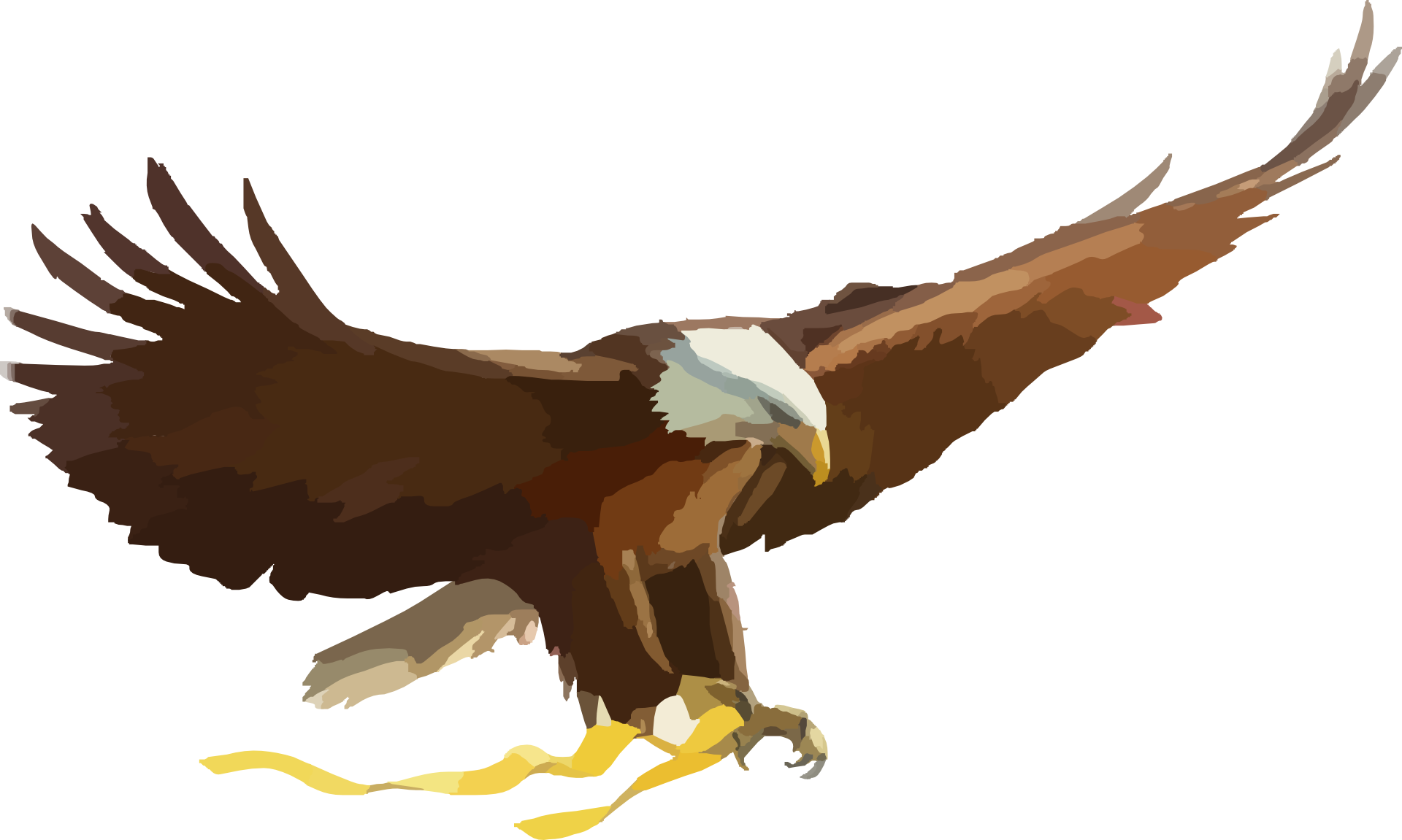 Drawing bald eagle free image download