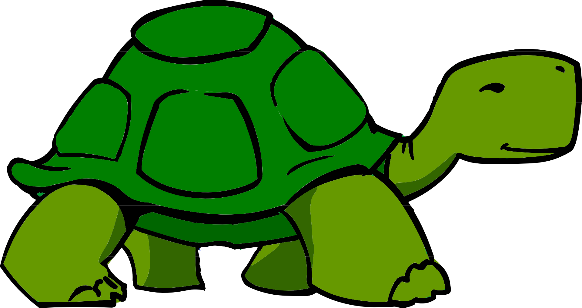 Green green turtle drawing free image download
