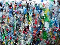 plastic bottles for recycling