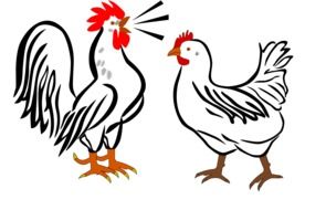 graphic image of a rooster and chicken