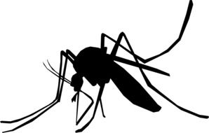 black silhouette of a mosquito