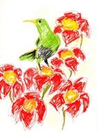 green Crayon on red flower, Illustration