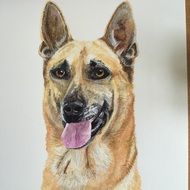 Painting of german shepherd