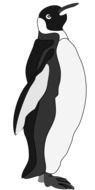 drawing of a king penguin