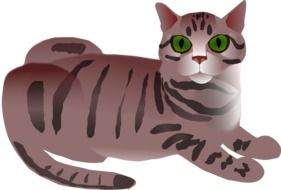 lying Tabby Cat with green eyes, drawing