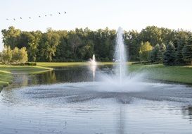 Ducks are flying over the fountain