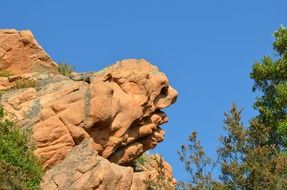 stone dog figure in Corsica