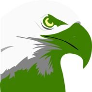 portrait of an eagle in green