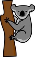 drawing of koala