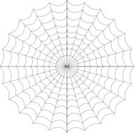 drawn round web