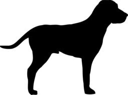 Drawing of the black silhouette of the dog at white background