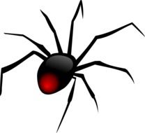 dangerous Spider with Black Legs vector