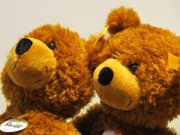 cuddly teddy bears close-up