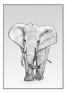 Drawing of the elephant clipart
