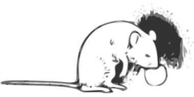 drawing of a mouse near the wall