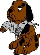 graphic image of a wounded dog