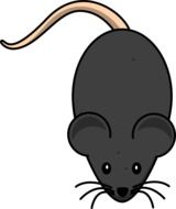 black Rat Rodent vectoe drawing