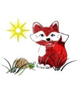 Picture of cute red fox