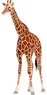 Colorful cartoon giraffe clipart