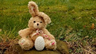 soft rabbit