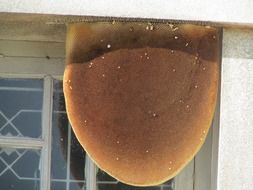 honey comb