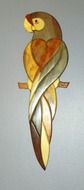 drawing of a beautiful parrot on a wooden stick