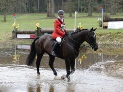 rider with horse in the paddle