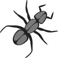 Ant Insect vector drawing