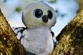 soft toy snowy owl with blue eyes