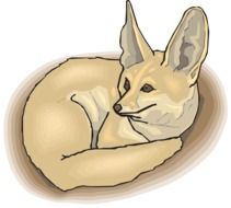 clipart of the cute eared fox