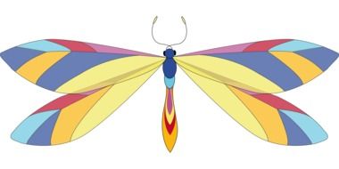 painted colorful dragonfly on a white background