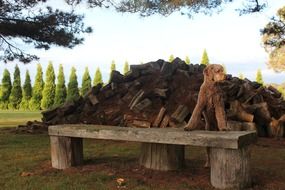 a dog leaning on a bench on the background of firewood