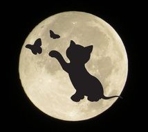 silhouette of a cat with butterflies on the background of the moon