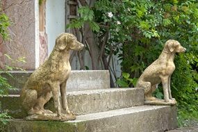 stone dogs near the entrance