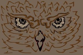 Wise Owl face, drawing