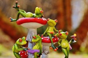 Group of different green frogs near a mushroom