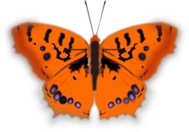 painted orange butterfly with black spots