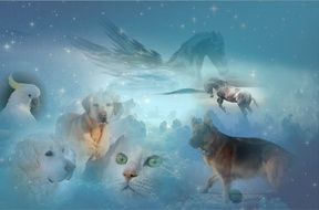 fantasy Animals and Pets, collage