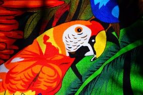 bright parrot as background