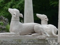 two Stone Dogs, Garden Figures
