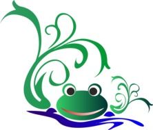 Frog drawing