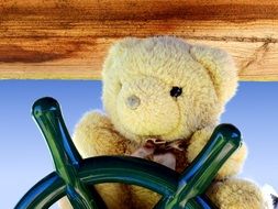 teddy bear in the ship