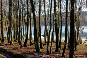 Nature Lake France