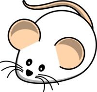 White Mouse drawing